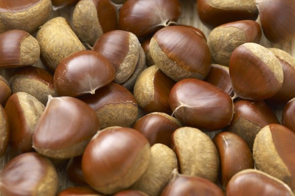 Winter is the season for eating chestnuts. A simple trick will allow you to roast it at home to create a sweet flavor.