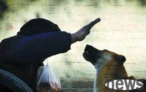 Psychology of a dog after being beaten by his owner