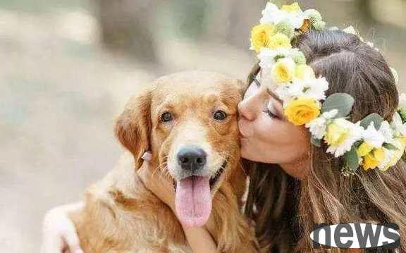 What should I do if my dog s skin disease is getting worse?