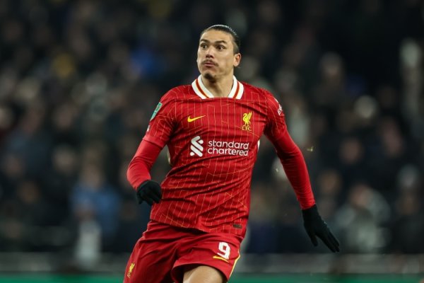 Vader: Nunez is worth the risk of Tottenham, and the possibility of his outbreak in the Premier League cannot be ruled out