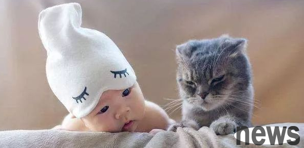 Why do cats like to get close to babies? What s going on?