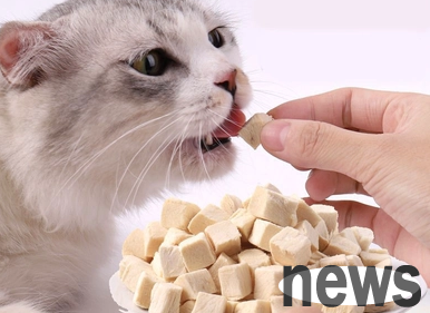 Can a three-month-old kitten eat freeze-dried? Let s take a look, my master