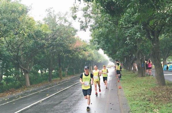 Run! Latest research: Any level of running can reduce the risk of death