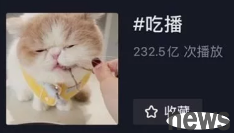 What is the business of pet eating broadcasting that dogs eat steak and cats eat lobster?