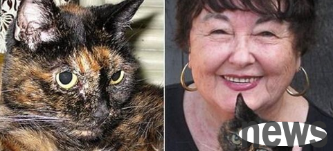 The oldest cat in the world celebrates its 27th birthday. It s 125 years old