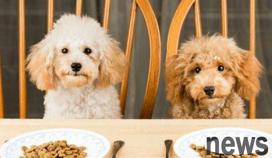 Let’s take a look at how long it is more appropriate to deprive dogs of gastroenteritis of food and water~