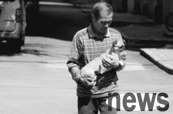 Dogs, cats and birds died one after another from 