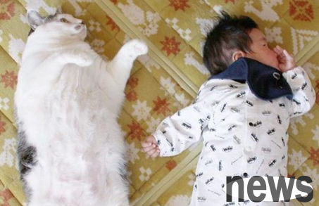 The growth diary of the cat brother and the human brother. They look super happy!